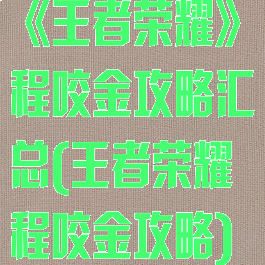 《王者荣耀》程咬金攻略汇总(王者荣耀程咬金攻略)