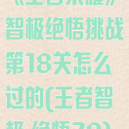 《王者荣耀》智极绝悟挑战第18关怎么过的(王者智极,绝悟20)