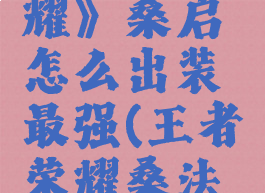 《王者荣耀》桑启怎么出装最强(王者荣耀桑法怎么打)