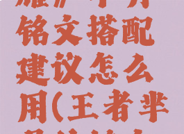 《王者荣耀》芈月铭文搭配建议怎么用(王者芈月的铭文搭配)