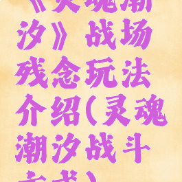 《灵魂潮汐》战场残念玩法介绍(灵魂潮汐战斗方式)