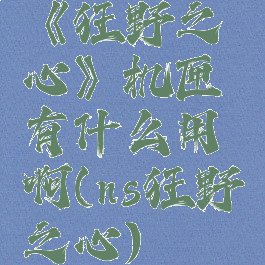 《狂野之心》机匣有什么用啊(ns狂野之心)