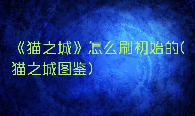 《猫之城》怎么刷初始的(猫之城图鉴)