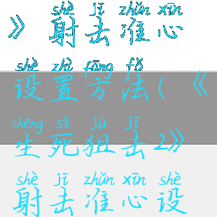 《生死狙击2》射击准心设置方法(《生死狙击2》射击准心设置方法视频)