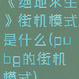 《绝地求生》街机模式是什么(pubg的街机模式)