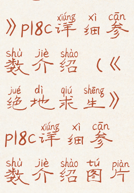 《绝地求生》p18c详细参数介绍(《绝地求生》p18c详细参数介绍图片)