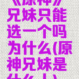 《原神》兄妹只能选一个吗为什么(原神兄妹是什么人)