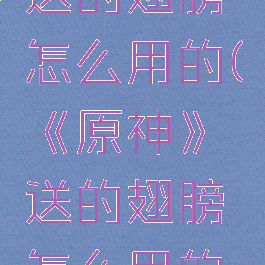 《原神》送的翅膀怎么用的(《原神》送的翅膀怎么用的啊)