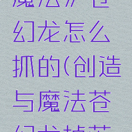 《创造与魔法》苍穹幻龙怎么抓的(创造与魔法苍穹幻龙掉落什么)