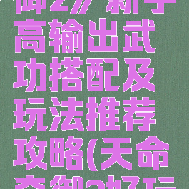 《天命奇御2》新手高输出武功搭配及玩法推荐攻略(天命奇御2好玩吗)