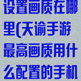 《天谕》手游设置画质在哪里(天谕手游最高画质用什么配置的手机玩比较流畅)