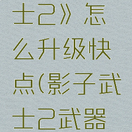 《影子武士2》怎么升级快点(影子武士2武器升级攻略)