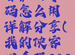 《我的侠客》口令码怎么用详解分享(我的侠客口令码2021年3月)
