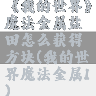 《我的世界》魔法金属盐田怎么获得方块(我的世界魔法金属1)