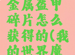《我的世界》魔法金属盔甲碎片怎么获得的(我的世界魔法金属饰品装备)