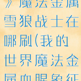 《我的世界》魔法金属雪狼战士在哪刷(我的世界魔法金属血腥象征)