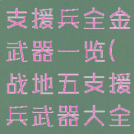 《战地5》支援兵全金武器一览(战地五支援兵武器大全)