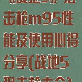 《战地5》狙击枪m95性能及使用心得分享(战地5狙击枪大全)
