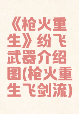 《枪火重生》纷飞武器介绍图(枪火重生飞剑流)