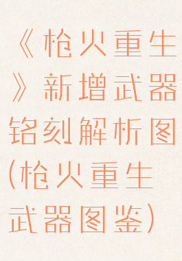 《枪火重生》新增武器铭刻解析图(枪火重生武器图鉴)