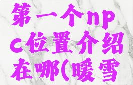 《暖雪》第一个npc位置介绍在哪(暖雪官网)