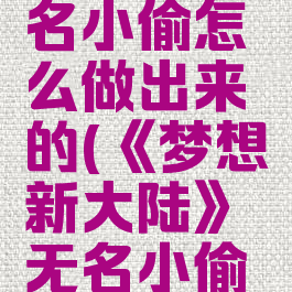 《梦想新大陆》无名小偷怎么做出来的(《梦想新大陆》无名小偷怎么做出来的)