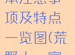 《荒野大镖客2》ol版本注意事项及特点一览图(荒野大镖客ol更新2021)