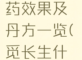 《觅长生》全二品丹药效果及丹方一览(觅长生什么丹药赚钱)