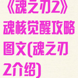 《魂之刃2》魂核觉醒攻略图文(魂之刃2介绍)