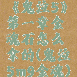 《鬼泣5》第一章金魂石怎么拿的(鬼泣5m9金魂)
