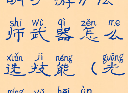 《黑暗与光明手游》法师武器怎么选技能(光明与黑暗最强武器)