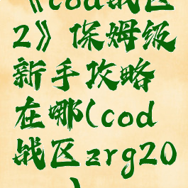 《cod战区2》保姆级新手攻略在哪(cod战区zrg20mm)