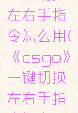 《csgo》一键切换左右手指令怎么用(《csgo》一键切换左右手指令怎么用不了)