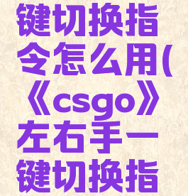 《csgo》左右手一键切换指令怎么用(《csgo》左右手一键切换指令怎么用不了)