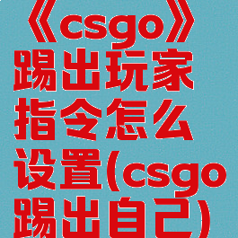 《csgo》踢出玩家指令怎么设置(csgo踢出自己)
