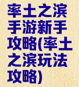 率土之滨手游新手攻略(率土之滨玩法攻略)