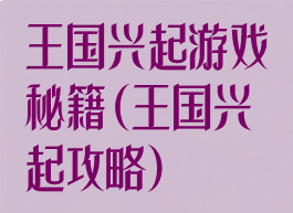 王国兴起游戏秘籍(王国兴起攻略)