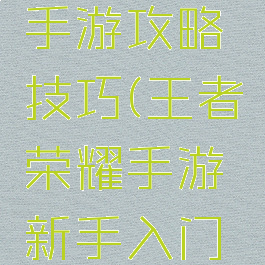 王者荣耀手游攻略技巧(王者荣耀手游新手入门攻略)