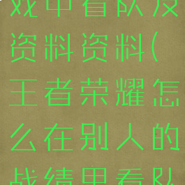 王者荣耀游戏中看队友资料资料(王者荣耀怎么在别人的战绩里看队友的资料)