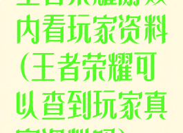 王者荣耀游戏内看玩家资料(王者荣耀可以查到玩家真实资料吗)