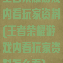 王者荣耀游戏内看玩家资料(王者荣耀游戏内看玩家资料怎么看)