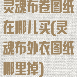 灵魂布卷图纸在哪儿买(灵魂布外衣图纸哪里掉)