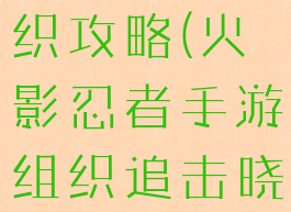 火影忍者手游追击晓组织攻略(火影忍者手游组织追击晓组织周一刚进组织)