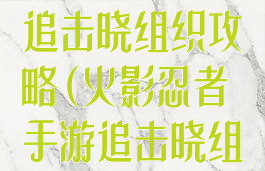 火影忍者手游追击晓组织攻略(火影忍者手游追击晓组织攻略大全)