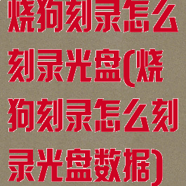 烧狗刻录怎么刻录光盘(烧狗刻录怎么刻录光盘数据)