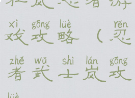 狂岚忍者游戏攻略(忍者武士岚攻略)
