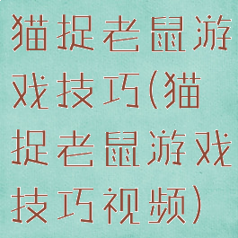 猫捉老鼠游戏技巧(猫捉老鼠游戏技巧视频)