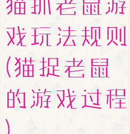 猫抓老鼠游戏玩法规则(猫捉老鼠的游戏过程)