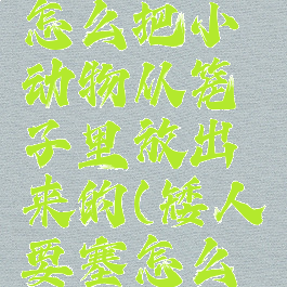 矮人要塞怎么把小动物从笼子里放出来的(矮人要塞怎么建房子)
