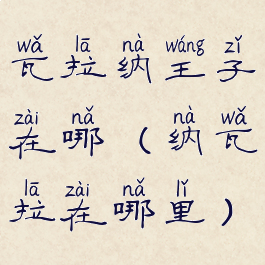 瓦拉纳王子在哪(纳瓦拉在哪里)